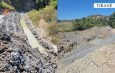 Tiranë/Goditet 1 rast i krimeve mjedisore