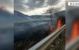 Bulqizë/Ndezën zjarr në fshatin Dragu dhe për pasojë, u dogj një sipërfaqe toke me bimësi, identifikohen dhe procedohen penalisht 2 autorë