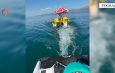 Pogradec/Policia Kufitare u shkon në ndihmë dy shtetasve që kishin dalë në liqen me një pedalinë